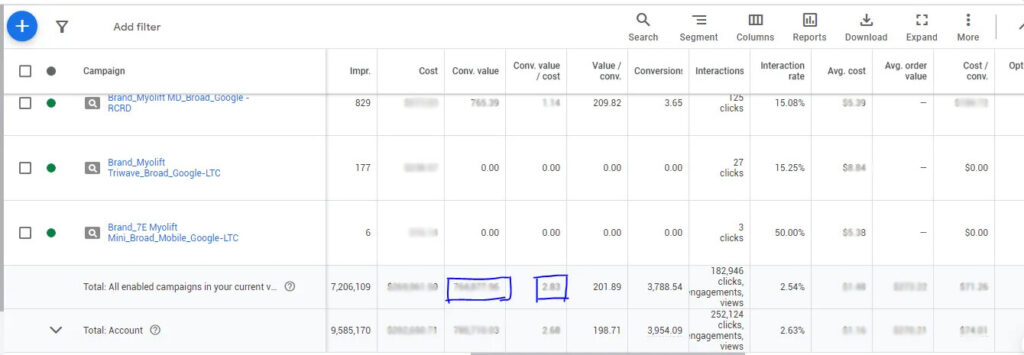 7e wellness ppc 1 - Edited Google Ads Average ROAS