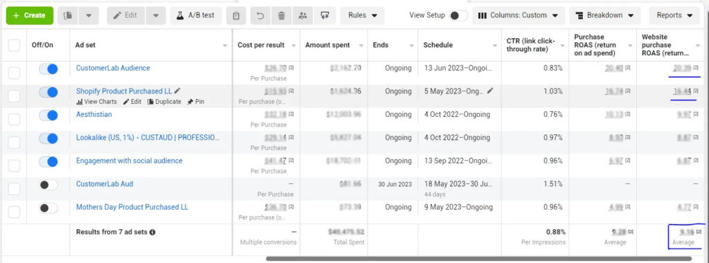 7e wellness ppc 2 - Edited Facebook Ads Average ROAS
