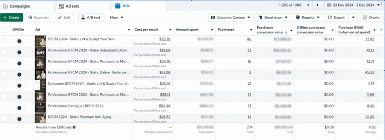 Black Friday 2024 – November 2024 ppc 1