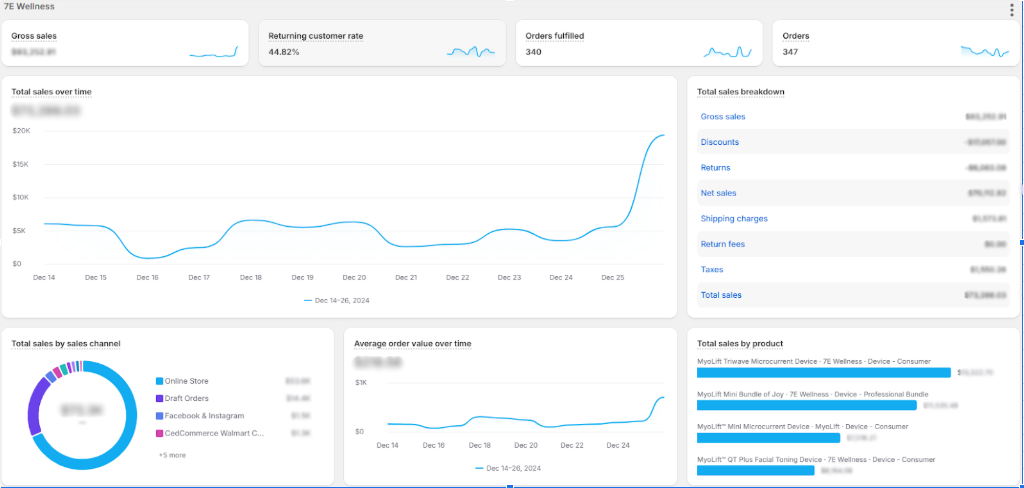 Christmas 2024 ppc 3