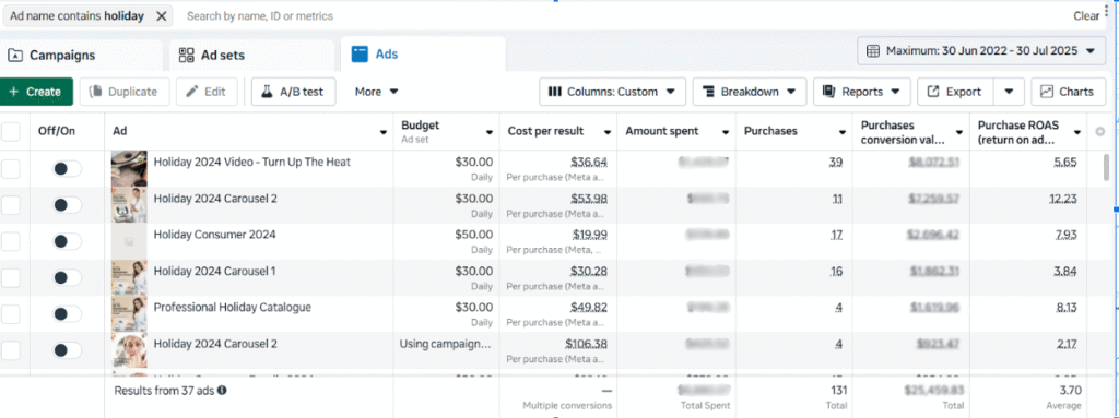 Holiday Promo 2024 ppc